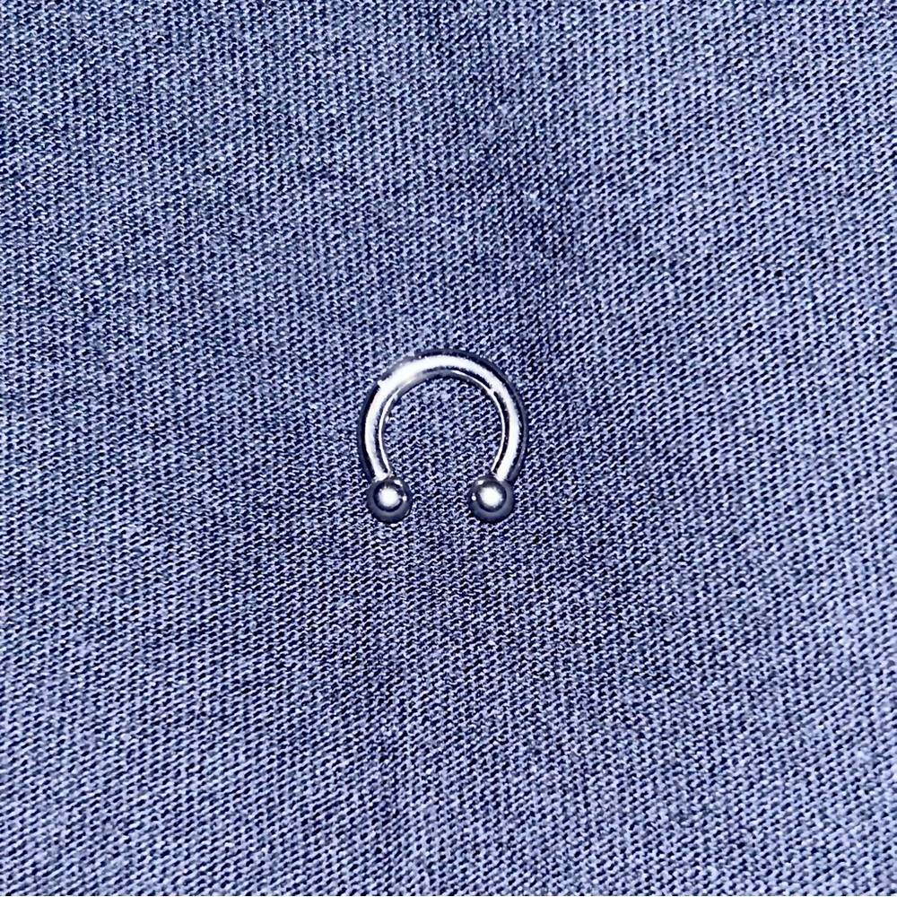 Body Art Forms 10 gauge horseshoe septum ring